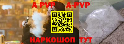СК Новодвинск