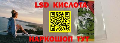 амф Новокубанск