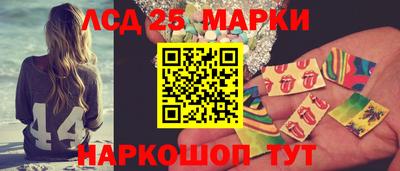 СК Новодвинск