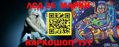 СК Новодвинск