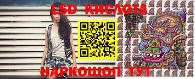 СК Новодвинск