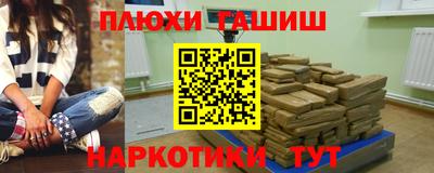 СК Новодвинск