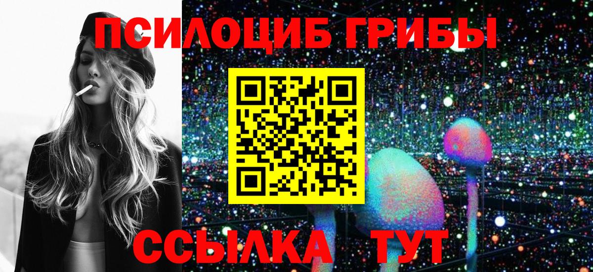 Псилоцибиновые грибы Cubensis Рославль