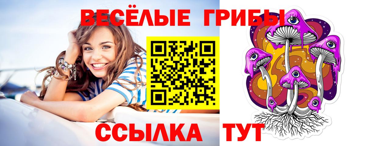 Псилоцибиновые грибы GOLDEN TEACHER  Вход с VPN  Псилоцибиновые грибы MAGIC MUSHROOMS  Рославль 
